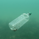 A discarded plastic bottle floating in the Adriatic sea